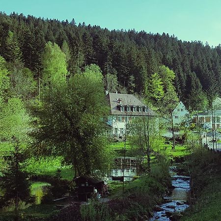 Gut Lauterbad Hotel Freudenstadt Exterior foto