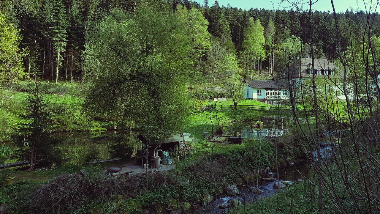 Gut Lauterbad Hotel Freudenstadt Exterior foto